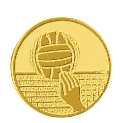 Centre médaille volley diamètre 25 mm PB103