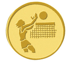 Centre médaille volley diamètre 25 mm PB105