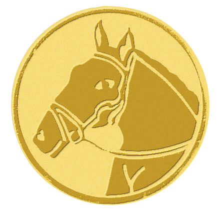 Centre médaille équitation diamètre 25 mm PB036