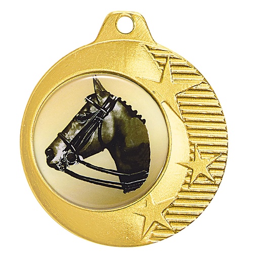 Médaille OR diamètre 40 mm M-442R