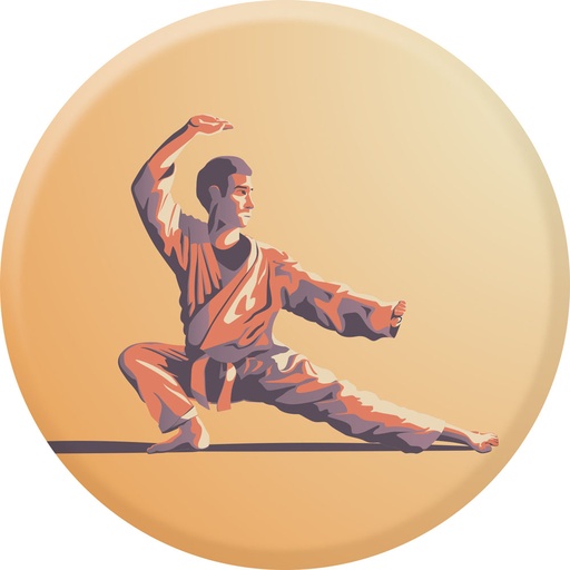 Centre médaille karaté diamètre 50 mm PCA061