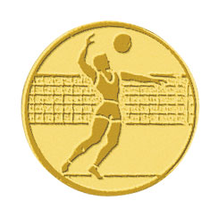 Centre médaille volley diamètre 25 mm PB104